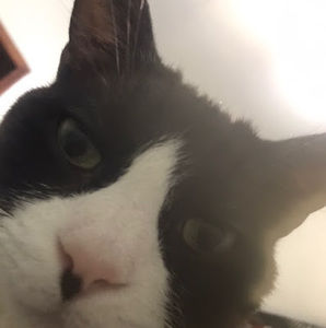 Meet your Posher, Leticia